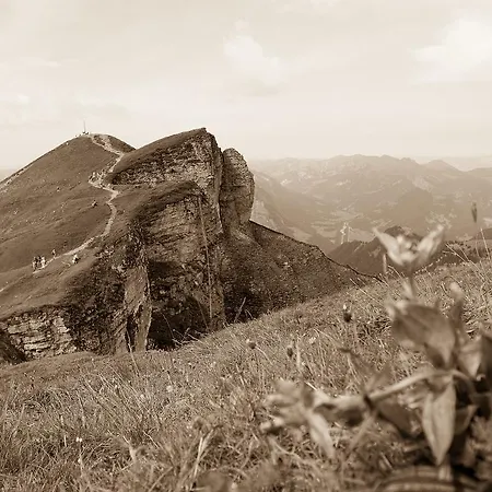 Madlener アパート ショペルナウ